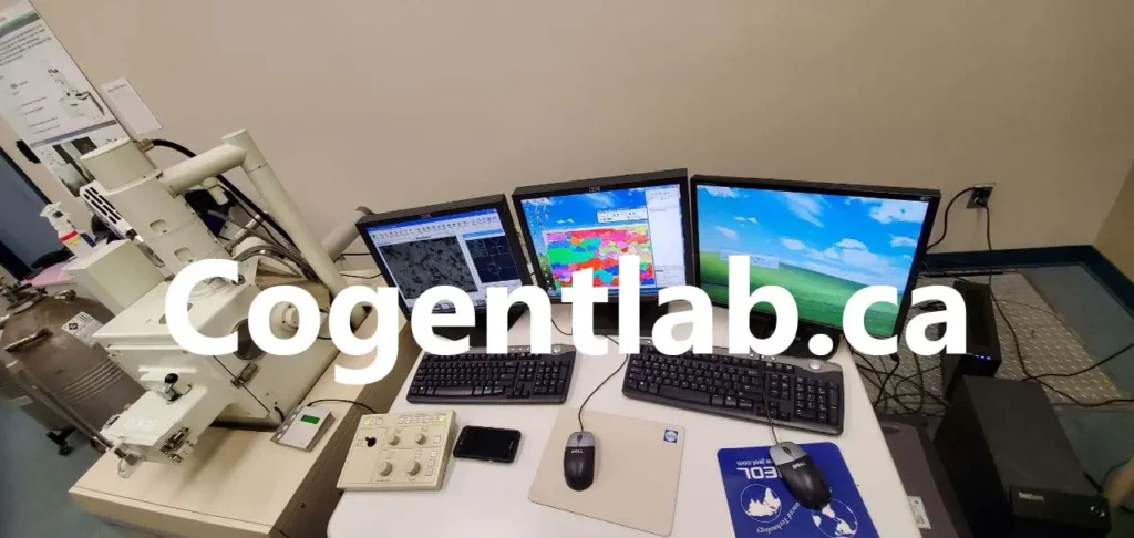 Scanning Electron Microscopy (SEM)